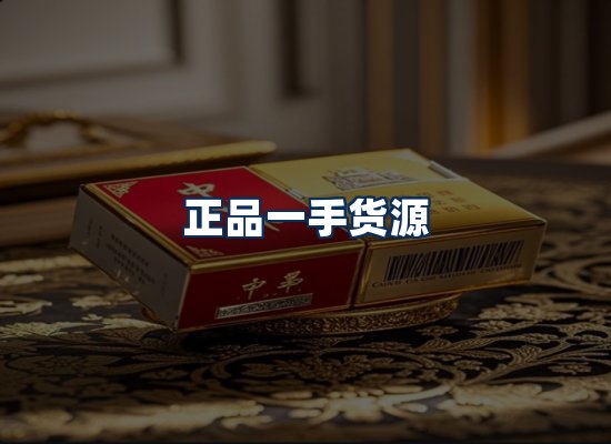 专业团队办公环境
